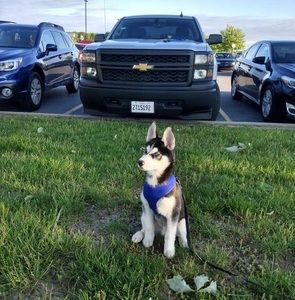 Meet your Posher, Jose